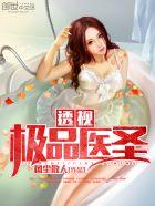 都市超品圣医