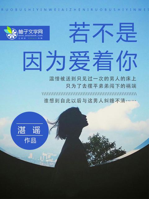 若不是因为爱上你歌词