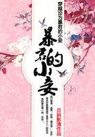 穿越沦为暴君小妾电视剧