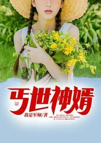 丐世神婿王浩免费阅读