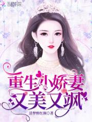 重生小娇妻又美又飒 清梦醉红颜