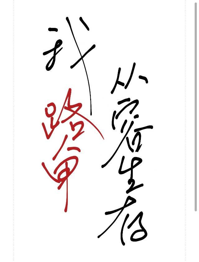 我是路人甲成本多少钱