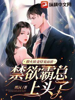 撩火免费全文阅读