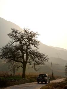 走向辉煌毛阿敏