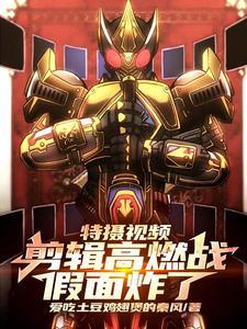 假面骑士之特摄扮演