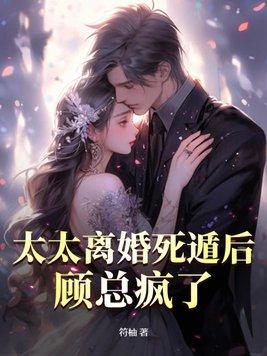 太太又在闹离婚呆呆