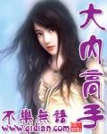 大内高手txt不乐无语