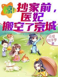 惊!抄家前,医妃搬空了京城