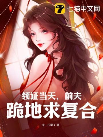 领证当天,前夫跪地求复合