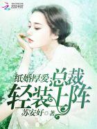 纸婚厚爱:总裁轻装上阵