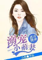 高冷男神:溺宠小萌妻